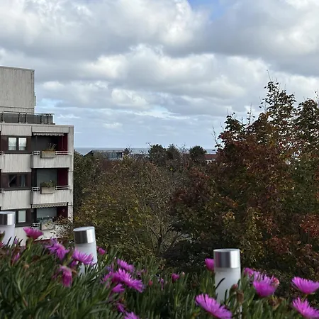 Berolina 313 - Mehr * Dahme (Schleswig-Holstein)